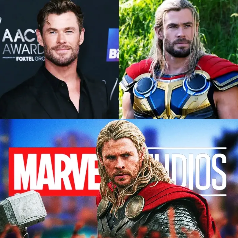 Many Actors Criticize Marvel Films, Chris Hemsworth Expresses Disappointment